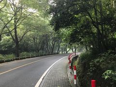 -龙井村