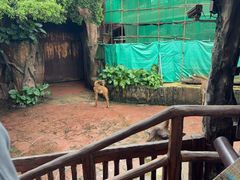 -长鹿旅游休博园