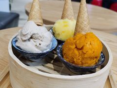 凤凰单枞雪糕-歎雪糕低糖低脂Gelato冰淇淋