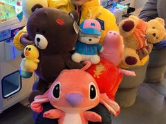 -PAWTOY爪e玩偶店(天兴罗斯福店)