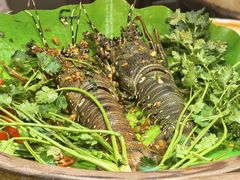 -吴记富苑(朝阳店)