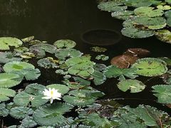 -珠海圆明新园