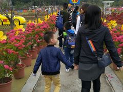 景点-盈香心动乐园