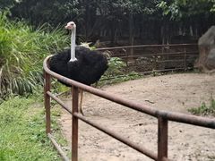 -南昌动物园