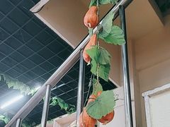 -山妹子铁锅炖