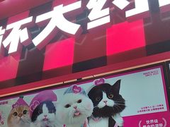 -K22.酸奶草莓(长春上海路万达店)