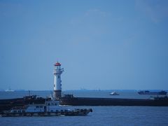 -上海滨江森林公园