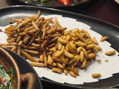 -滇野云南野生菌餐厅(陕西南路店)