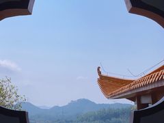 -深圳仙湖植物园