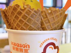 -iceason爱茜茜里·意大利健康冰淇淋(骑龙巷店)