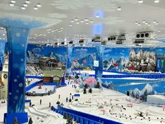 -长沙湘江欢乐雪域