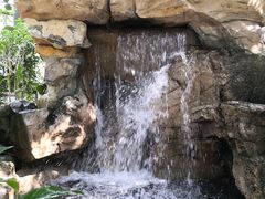 -南山植物园