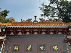 -深圳仙湖植物园