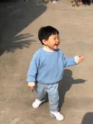 -上美四季动物农场