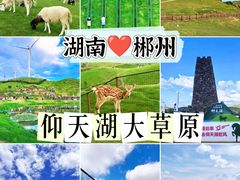 -仰天湖大草原
