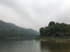 -广州市石门国家森林公园