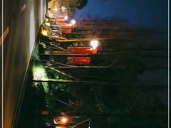-青城道汤池