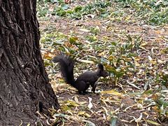 -国家植物园南园