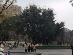 -沐仙湖湿地公园