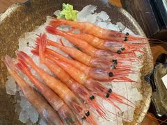-月龍吟(朝龙汇店)