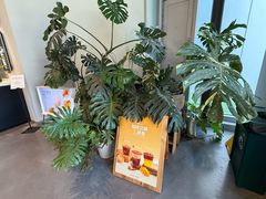 -dotcom coffee古点咖啡(致真大厦店)