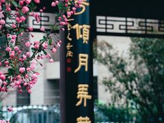 -莫愁湖公园