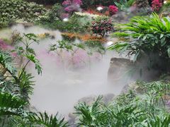 -广州市白云山风景名胜区