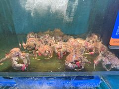 -海味当家·蒸锅海鲜(星海公园店)