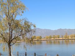 -野鸭湖国家湿地公园