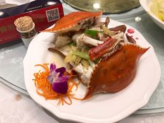 清蒸飞蟹-万宝海鲜舫(劳动公园店)