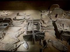 -洛阳周王城天子驾六博物馆