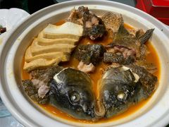开河鲤鱼-九十九顶毡房(阜石路店)