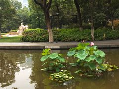 -常州古运河南大街文化旅游区-人民公园