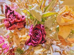 -花沐 FLOWER BATH(凤凰城店)