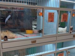 -FAELING PETS美天灵宠物(合生汇店)