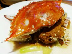 -劲莲舟山海鲜(东书房路店)