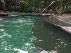 芦荟池-碧桂园润杨溪谷温泉酒店