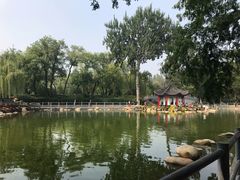-莲湖公园