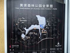 -黄贤森林公园