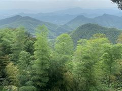 -莫干山风景区