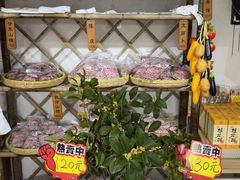 -苏州市吴中区光福窑上花果蜜饯厂