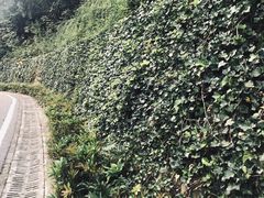 -金陵矩阵(聚宝山公园店)
