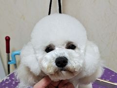 -宠爱有家宠物生活馆