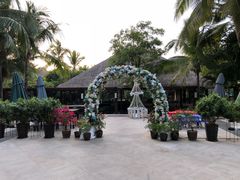 -三亚湾海居铂尔曼度假酒店