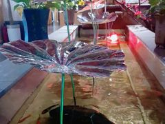 -盘子女人坊(西安至尊店)