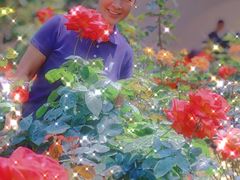 -人民公园(罗湖区)