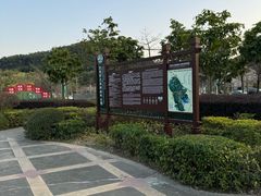 -大屏嶂森林公园