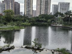 -四海公园(南山区)