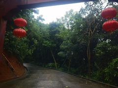 -清溪大王山森林公园