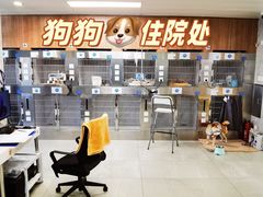 -北京派仕佳德动物医院·超导核磁·CT·神经科·骨科·内外科·急重症管理中心